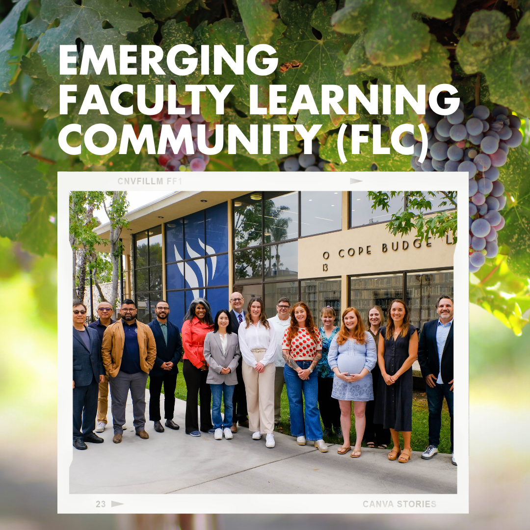Picture of a group of faculty in front of a library