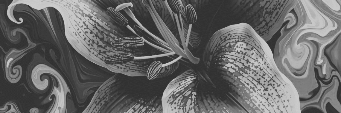 Abstract image of a flower