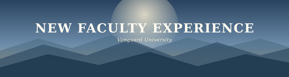 New Faculty Experience